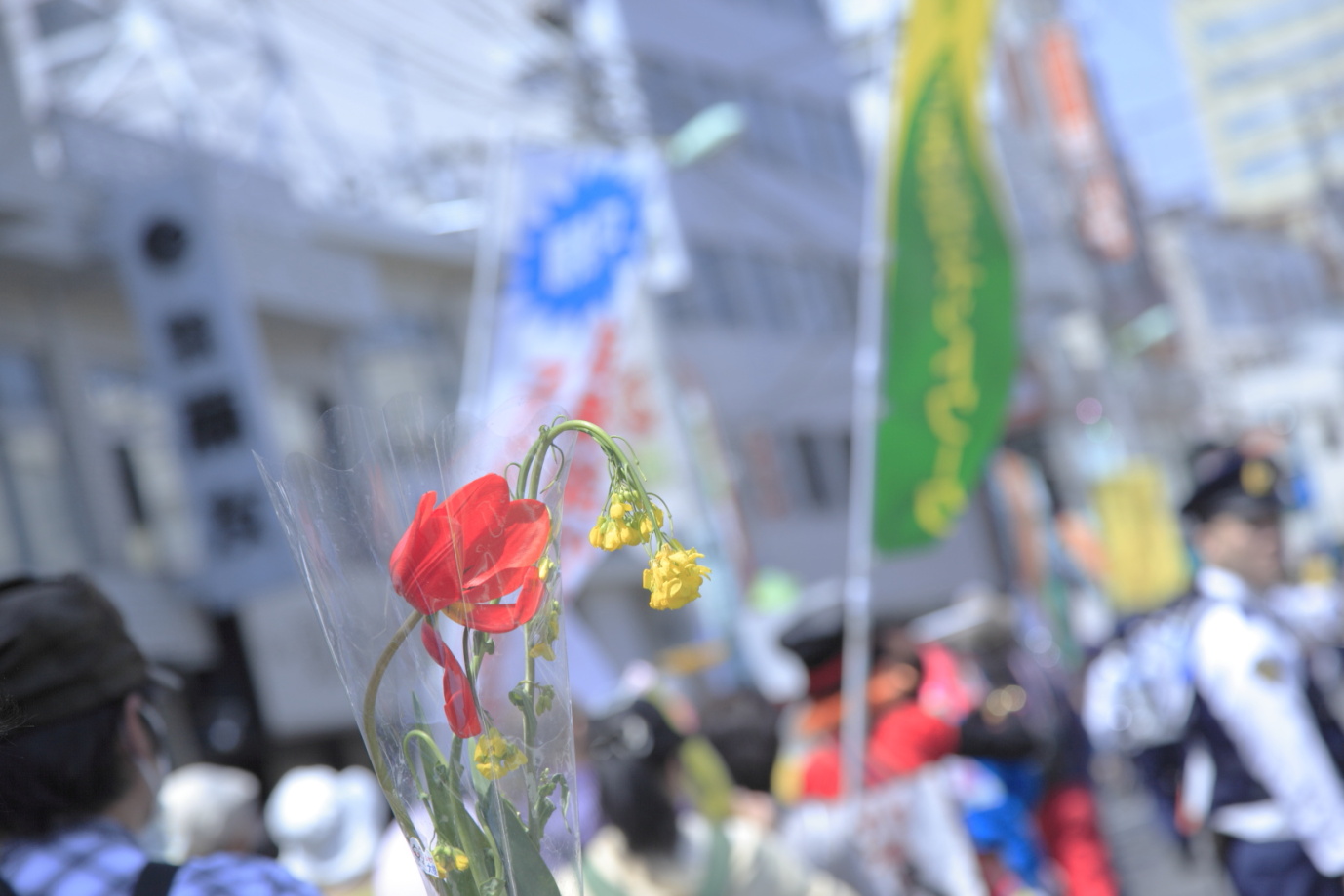 _MG_8567.JPG